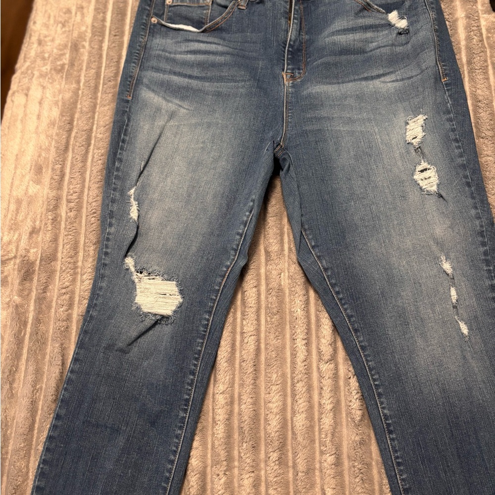 Torrid Distressed Skinny Jeans in Blue